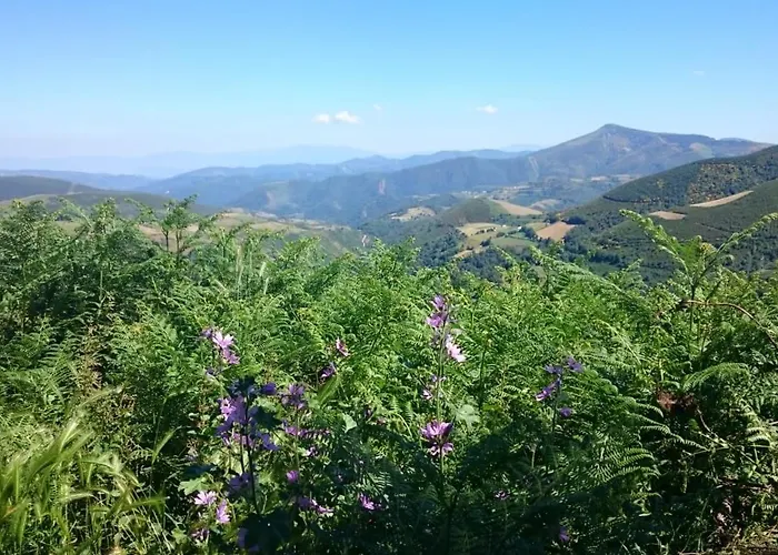 בית הארחה Casa Anton O Cebreiro O Cebrero